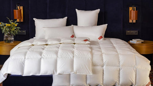 KUSCHELIGE DUVETS