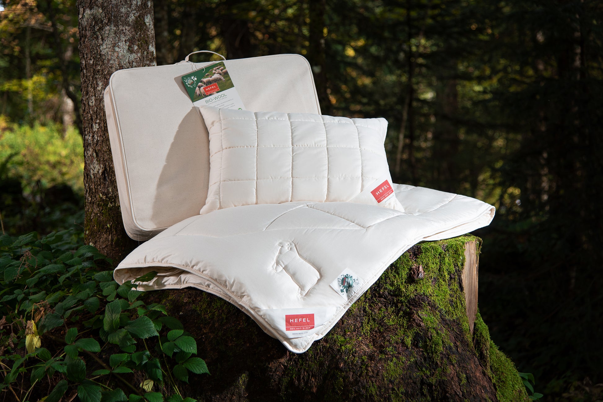 Bio-Wool Bettdecke